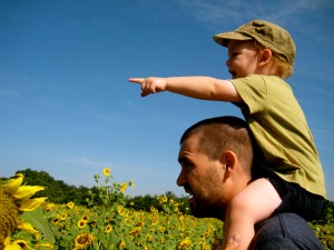 Blue sky 4th of July